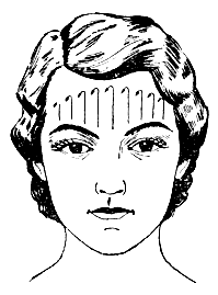 Рис. 31. Схема массажа головы (движение третье)